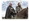 Davos Seaworth and Tormund Giantsbane Memorable Duos - Numbered to 75